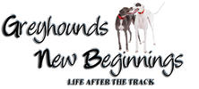 greyhoundsnewbeginnings